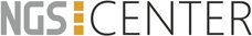 ngs-center.ru
